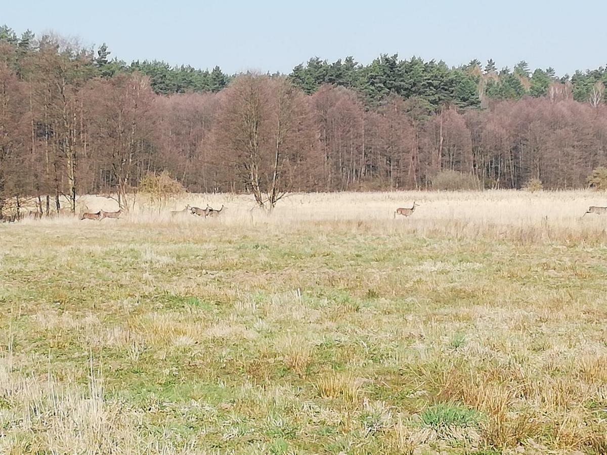 Agrojelonki Agroturystyka Gietrzwałd Exteriör bild