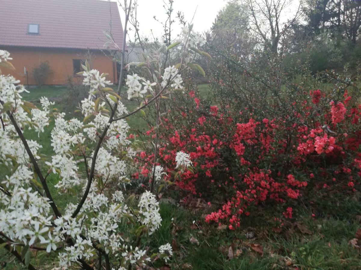 Agrojelonki Agroturystyka Gietrzwałd Exteriör bild